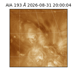 saia - 2026-08-31T20:00:04.840000