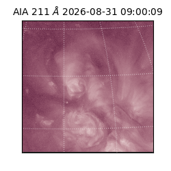 saia - 2026-08-31T09:00:09.630000
