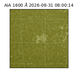 saia - 2026-08-31T08:00:14.120000