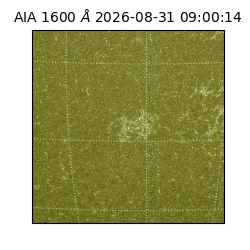 saia - 2026-08-31T09:00:14.120000