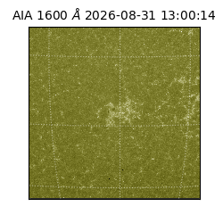 saia - 2026-08-31T13:00:14.120000