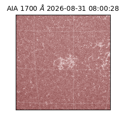 saia - 2026-08-31T08:00:28.720000