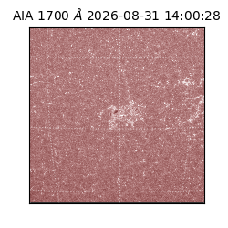 saia - 2026-08-31T14:00:28.720000