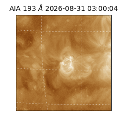 saia - 2026-08-31T03:00:04.840000