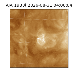 saia - 2026-08-31T04:00:04.840000