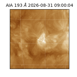 saia - 2026-08-31T09:00:04.840000