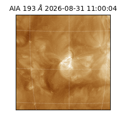 saia - 2026-08-31T11:00:04.840000