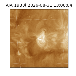 saia - 2026-08-31T13:00:04.840000