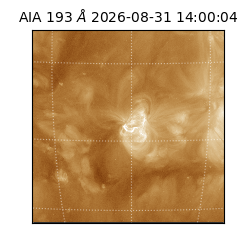 saia - 2026-08-31T14:00:04.840000