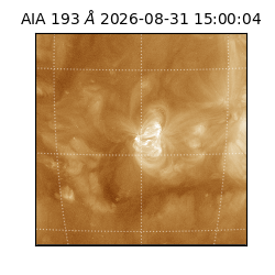 saia - 2026-08-31T15:00:04.840000