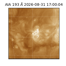 saia - 2026-08-31T17:00:04.840000