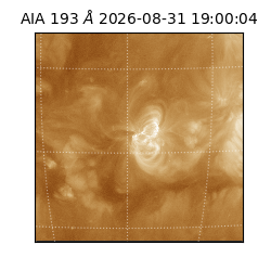 saia - 2026-08-31T19:00:04.840000