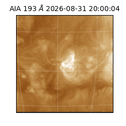 saia - 2026-08-31T20:00:04.840000