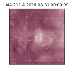 saia - 2026-08-31T00:00:09.623000