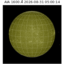saia - 2026-08-31T05:00:14.120000