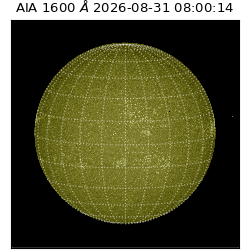 saia - 2026-08-31T08:00:14.120000