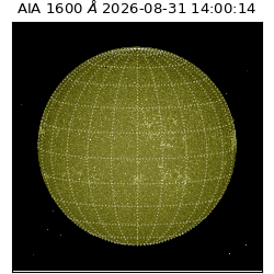 saia - 2026-08-31T14:00:14.120000
