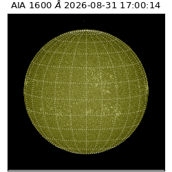 saia - 2026-08-31T17:00:14.120000