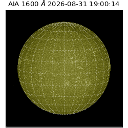 saia - 2026-08-31T19:00:14.120000