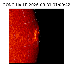 gong - 2026-08-31T01:00:42