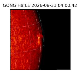 gong - 2026-08-31T04:00:42