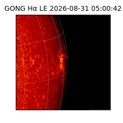 gong - 2026-08-31T05:00:42