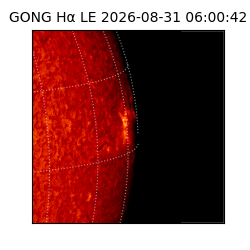 gong - 2026-08-31T06:00:42