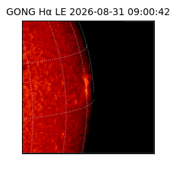 gong - 2026-08-31T09:00:42