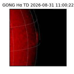 gong - 2026-08-31T11:00:22