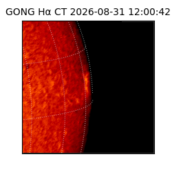 gong - 2026-08-31T12:00:42