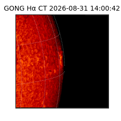 gong - 2026-08-31T14:00:42