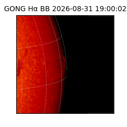 gong - 2026-08-31T19:00:02
