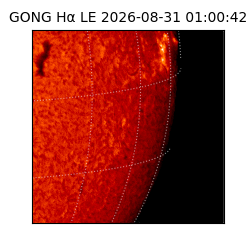 gong - 2026-08-31T01:00:42