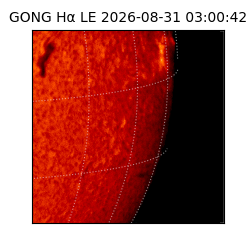 gong - 2026-08-31T03:00:42