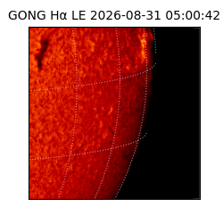 gong - 2026-08-31T05:00:42