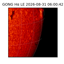 gong - 2026-08-31T06:00:42