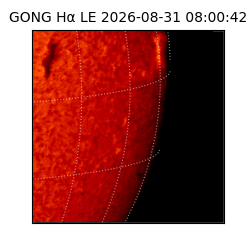 gong - 2026-08-31T08:00:42