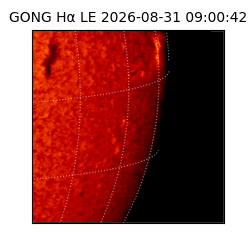 gong - 2026-08-31T09:00:42
