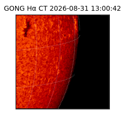 gong - 2026-08-31T13:00:42