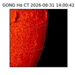 gong - 2026-08-31T14:00:42