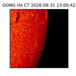 gong - 2026-08-31T15:00:42