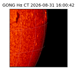 gong - 2026-08-31T16:00:42