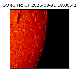 gong - 2026-08-31T18:00:42