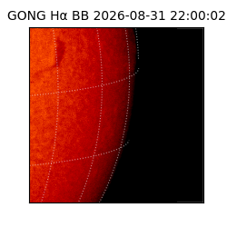 gong - 2026-08-31T22:00:02
