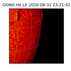 gong - 2026-08-31T23:21:42