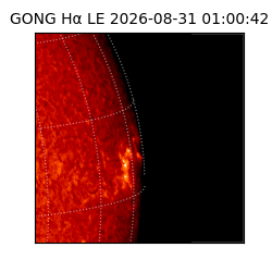 gong - 2026-08-31T01:00:42