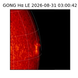 gong - 2026-08-31T03:00:42