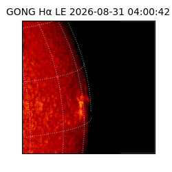 gong - 2026-08-31T04:00:42