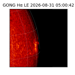 gong - 2026-08-31T05:00:42