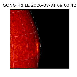 gong - 2026-08-31T09:00:42